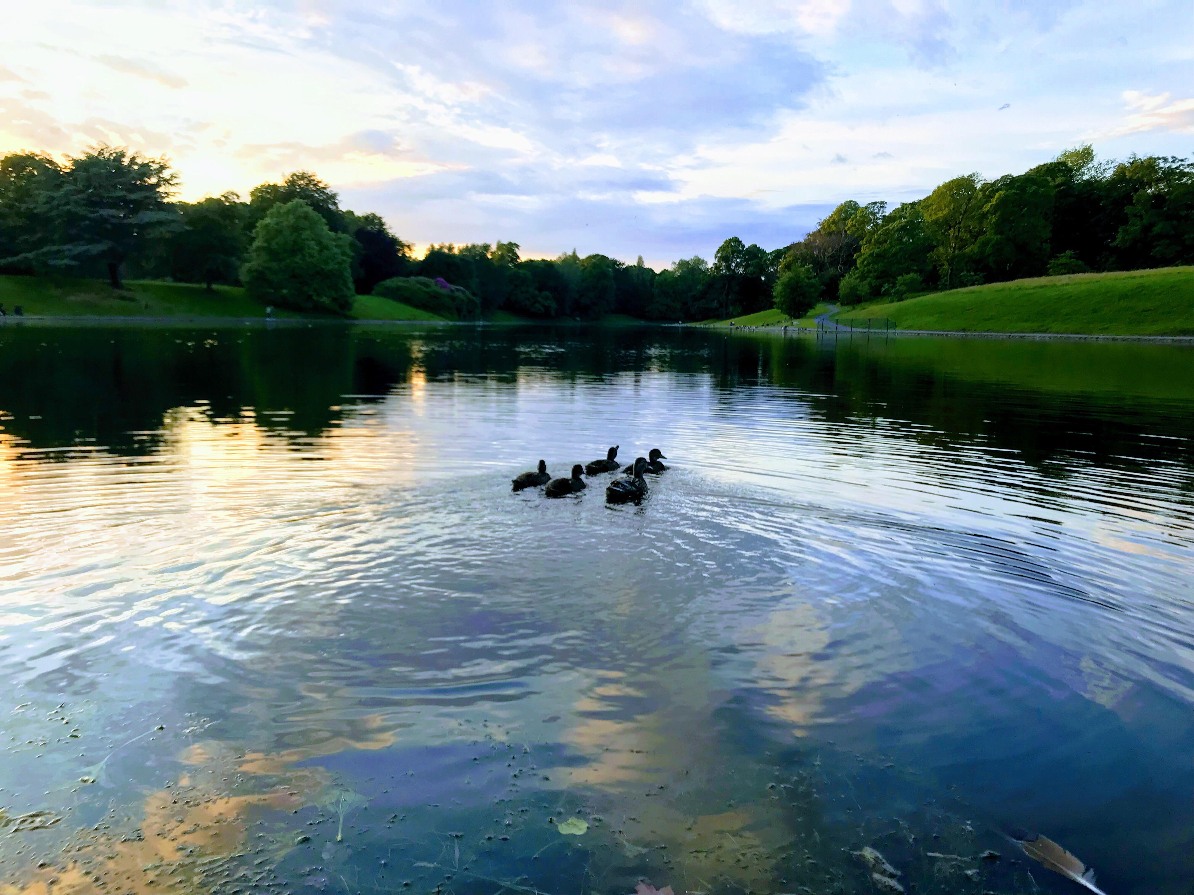 Sefton Park Hotel Liverpool Exteriér fotografie